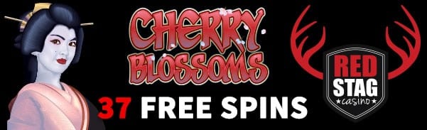 Cherry gold casino promo codes no deposit