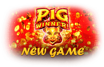 Fair Go Casino RTG Pig Winner