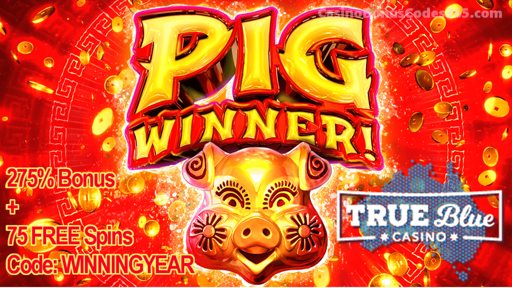 True Blue Casino New RTG Game Pig Winner Special Promo