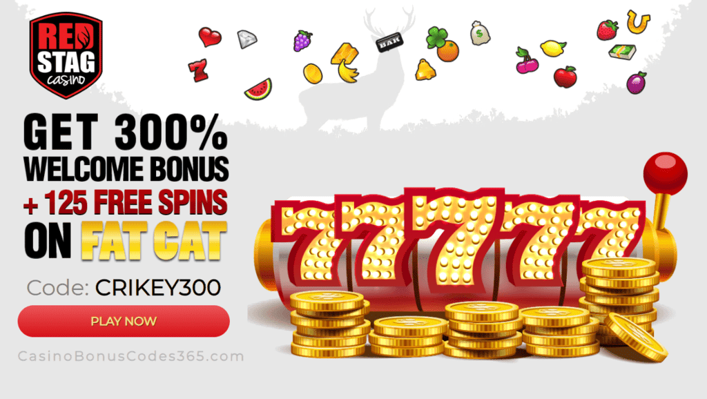 Red Stag Casino 300% Welcome Bonus Plus 125 FREE Spins on Fat Cat