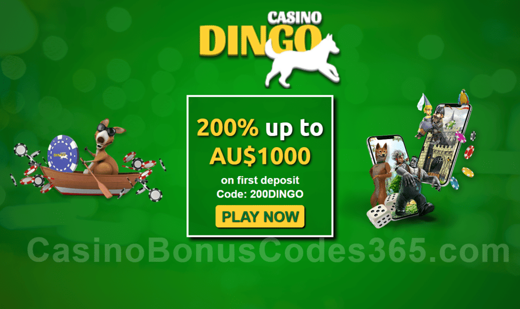 Casino Dingo 200% up to A$2000 First Deposit Bonus