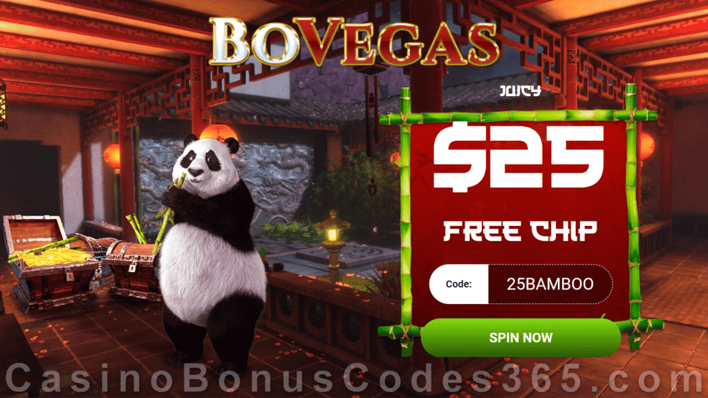 BoVegas Casino Special $25 Welcome FREE Chip Offer