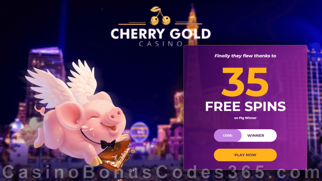 Cherry Gold Casino 35 FREE Spins on RTG Pig Winner No Deposit Welcome Deal