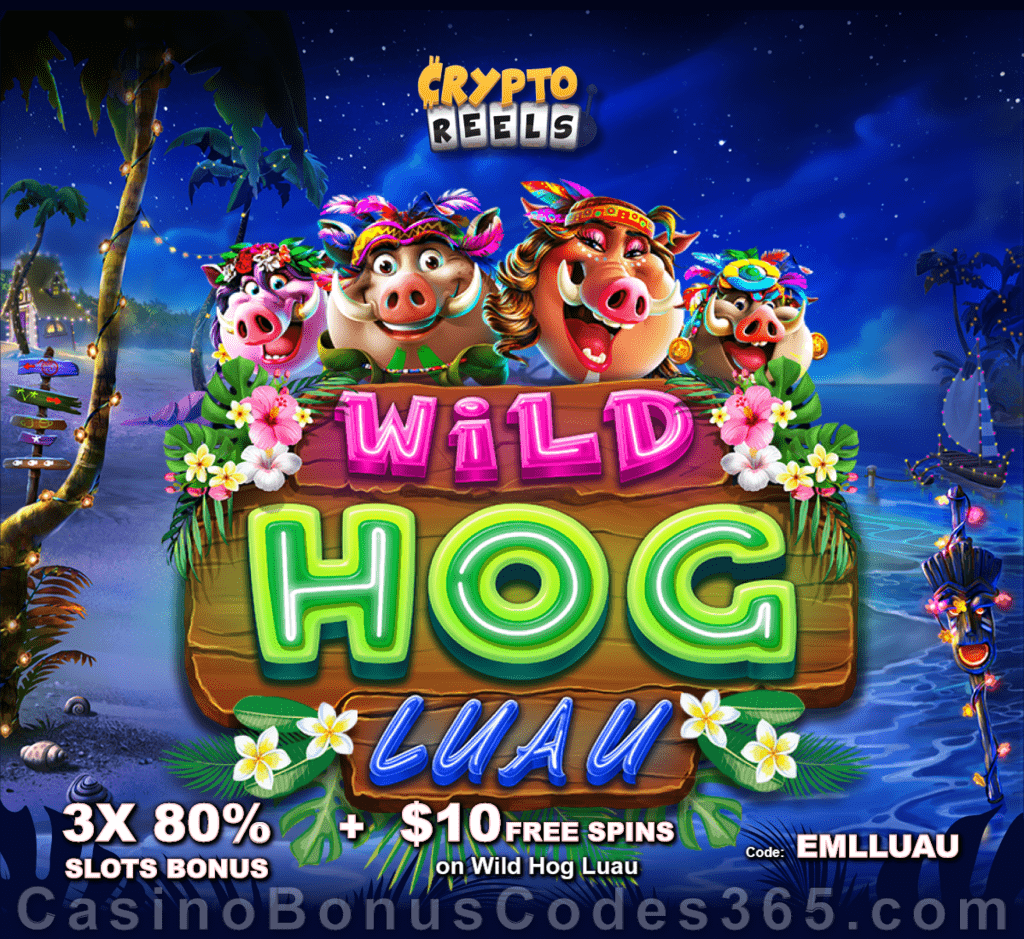 CryptoReels 3 x 80% Slots Bonus plus $10 FREE Spins on Wild Hog Luau New RTG Game Special Offer