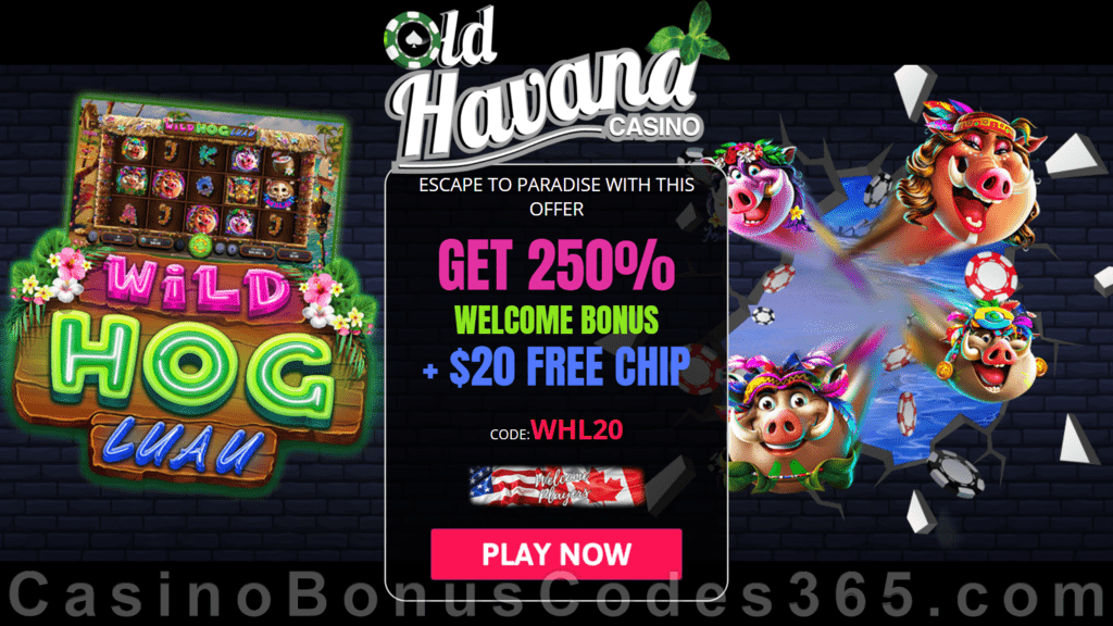 Old Havana Casino $20 FREE Chip New RTG Game Wild Hog Luau plus 250% Match Welcome Bonus Pack