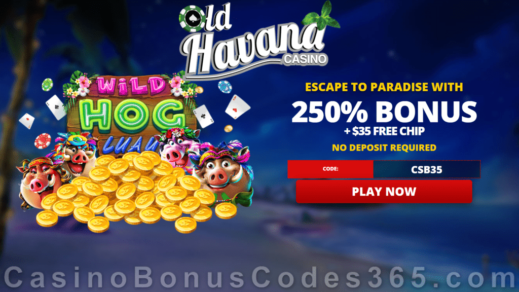 Old Havana Casino RTG Wild Hog Luau $35 FREE Chip plus 250% Match Bonus Welcome Deal