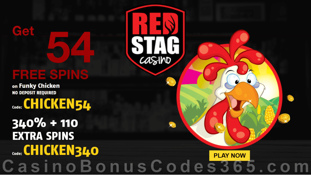 Red Stag Casino 63 FREE WGS Funky Chicken Spins and 340% Match up to $680 Bonus plus 100 FREE Spins Special Welcome Deal