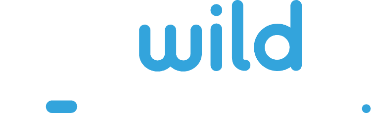 WildTornado Casino