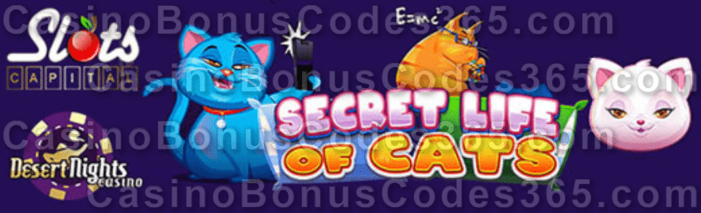 Desert Nights Casino Slots Capital Online Casino Secret Life of Cats New Saucify Game LIVE