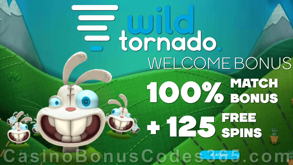 WildTornado Casino Exclusive 100% Match up to $1000 Bonus plus 125 FREE Spins New Players Welcome Package