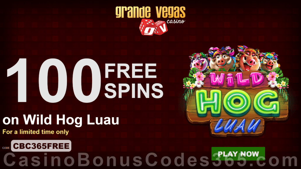 Grande Vegas Casino Exclusive 100 FREE RTG Wild Hog Luau Spins No Deposit Sign Up Offer