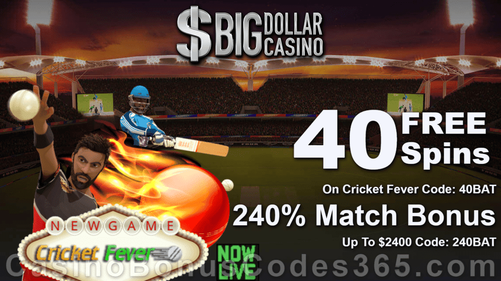 Big Dollar Casino 40 FREE Saucify Cricket Fever Spins plus 240% Match Bonus Special Offer