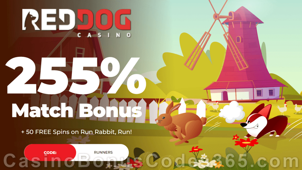 Red Dog Casino 255% Match plus 50 FREE RTG Run Rabbit Run Spins Special New Players Offer