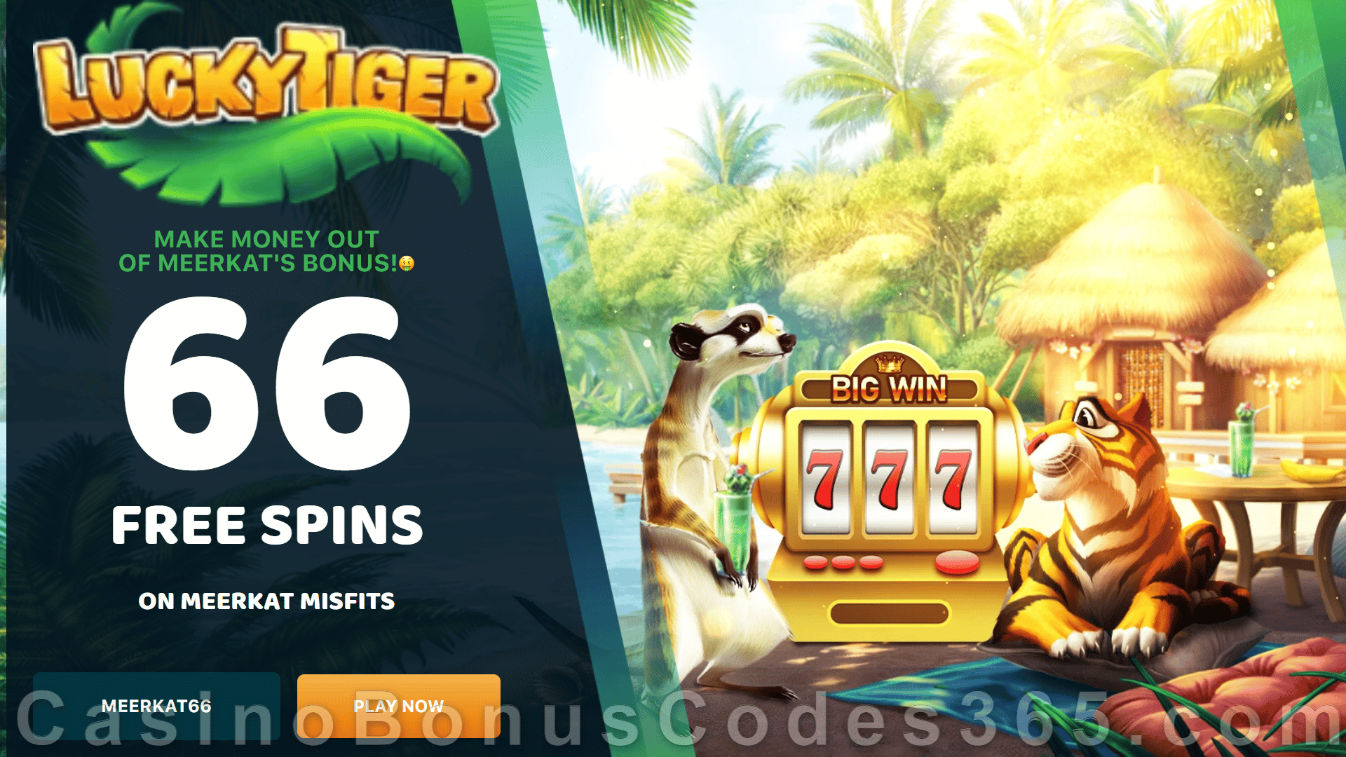 Lucky Tiger Casino Bonus Codes 365