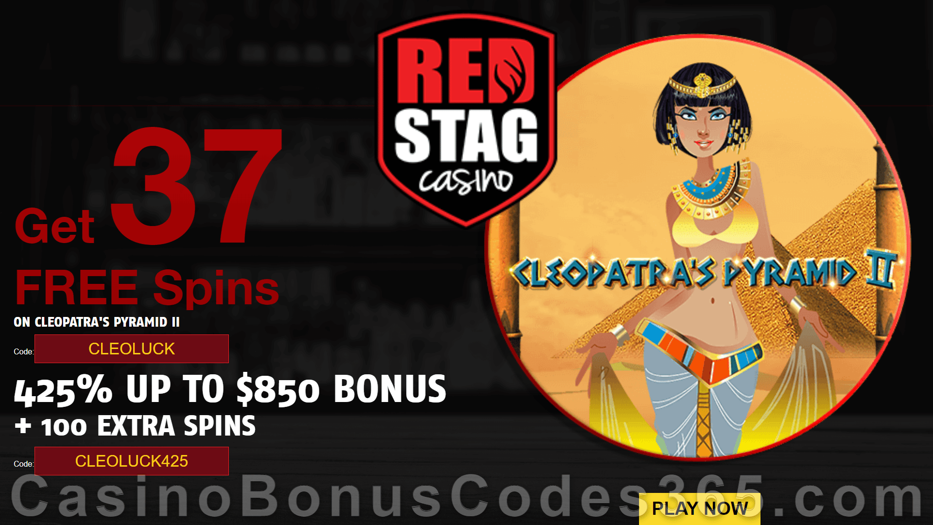 Red Stag Casino 37 FREE Spins on Cleopatra's Pyramid II plus 425% Match Bonus Welcome Package