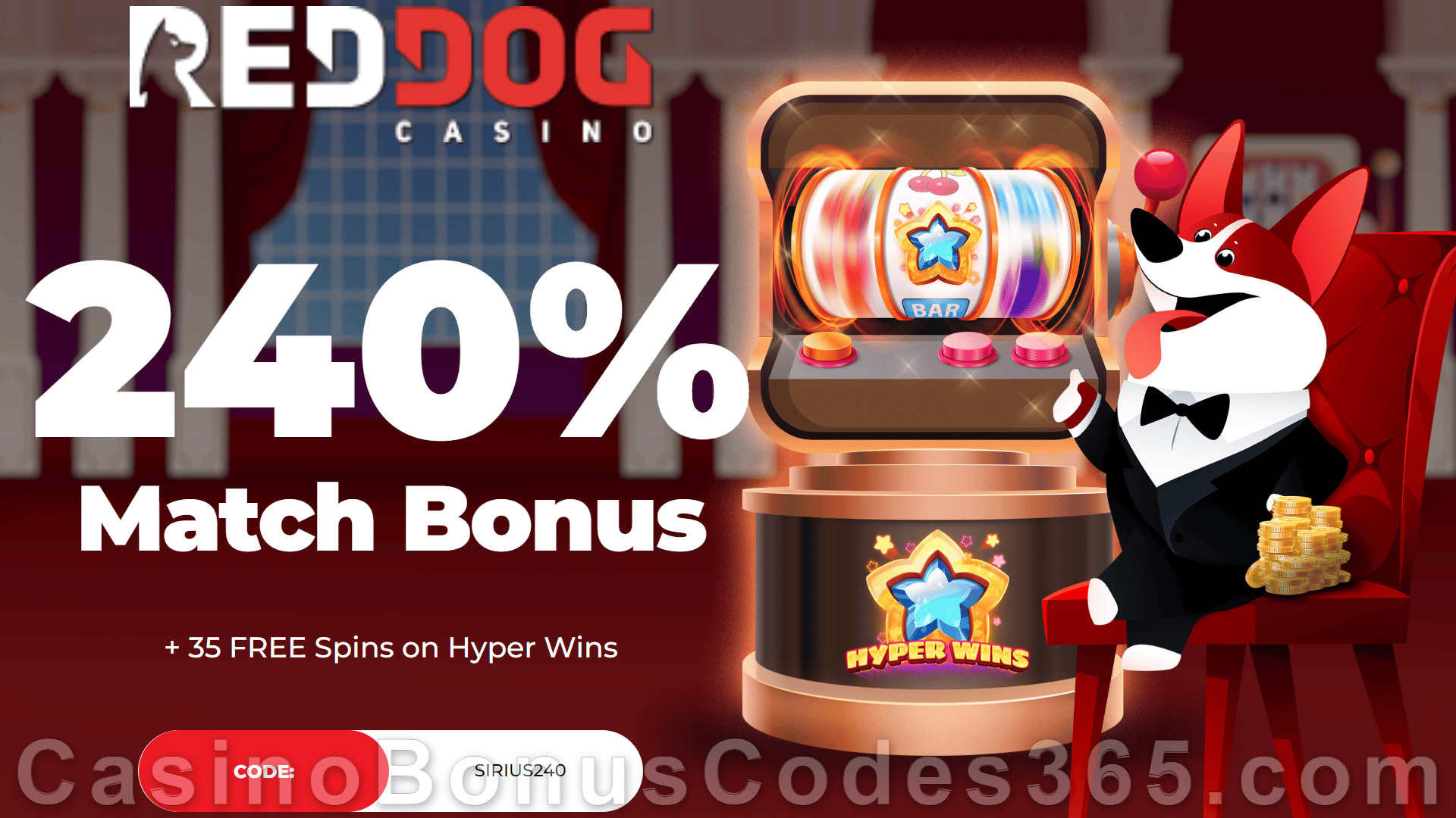 Red Dog Casino 240% Match plus 35 FREE RTG Hyper Wins Spins Special New Players Offer