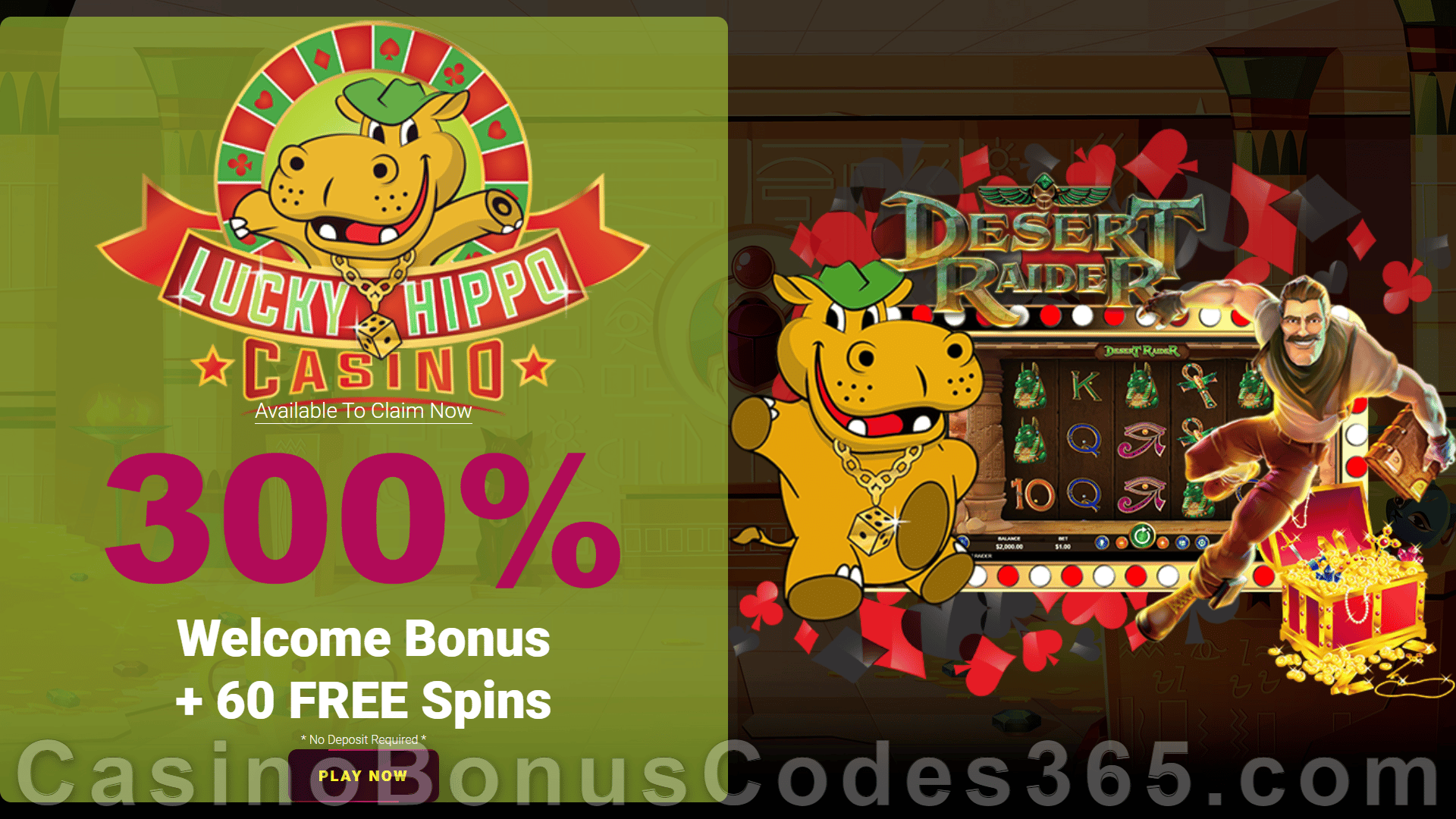 Lucky Hippo Casino 300% Match plus 60 FREE Spins on RTG Desert Raider  New Players Deal