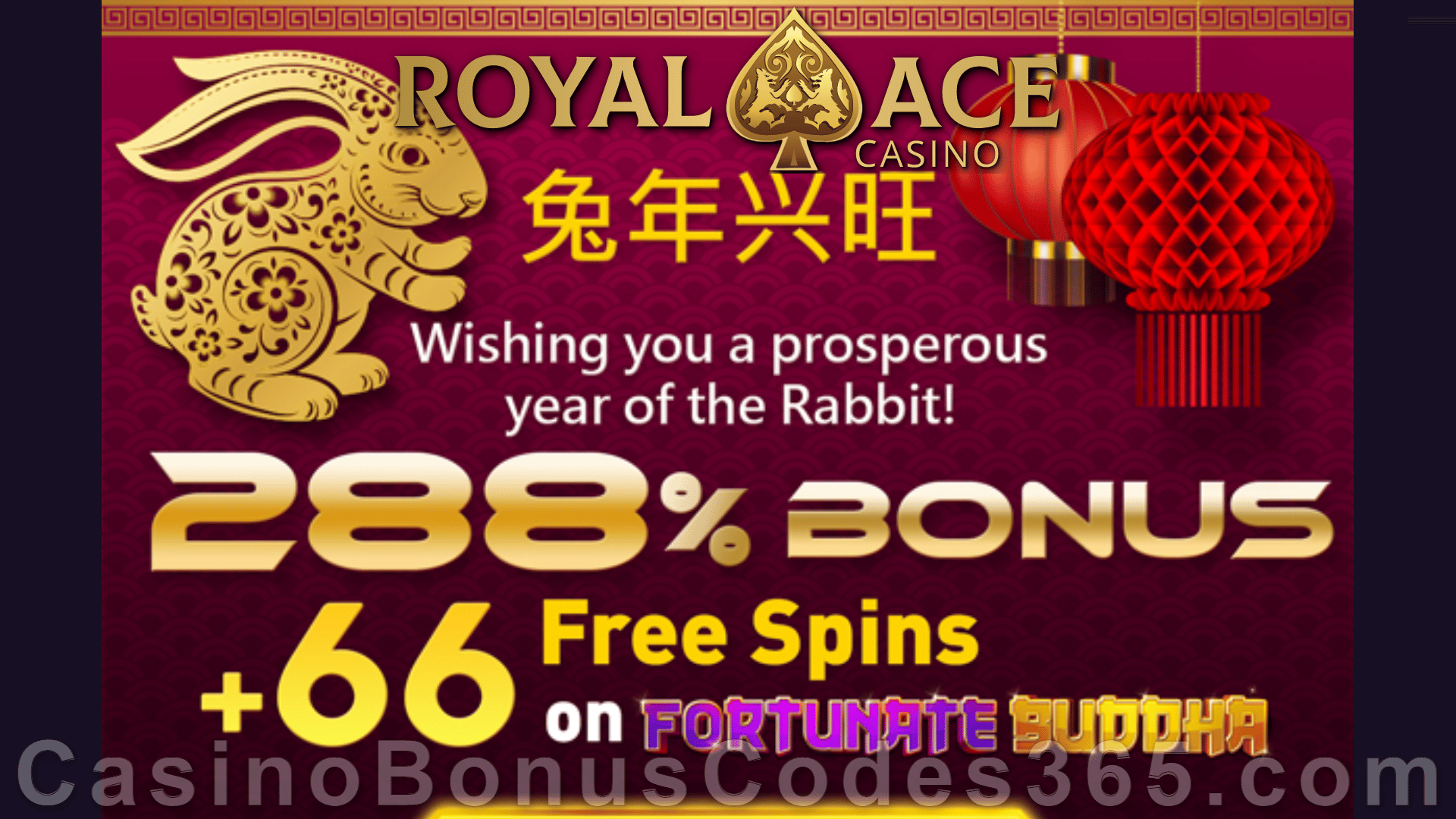 Royal Ace Casino 288% Match Bonus plus 66 Free Spins on Fortunate Buddha Year of the Rabbit Special Deal