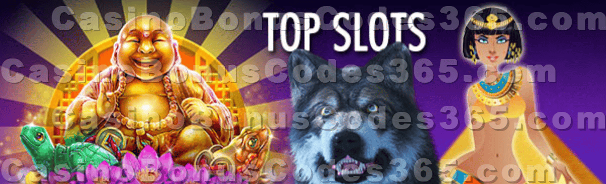 Most Popular Slots in November 2023 by Spins