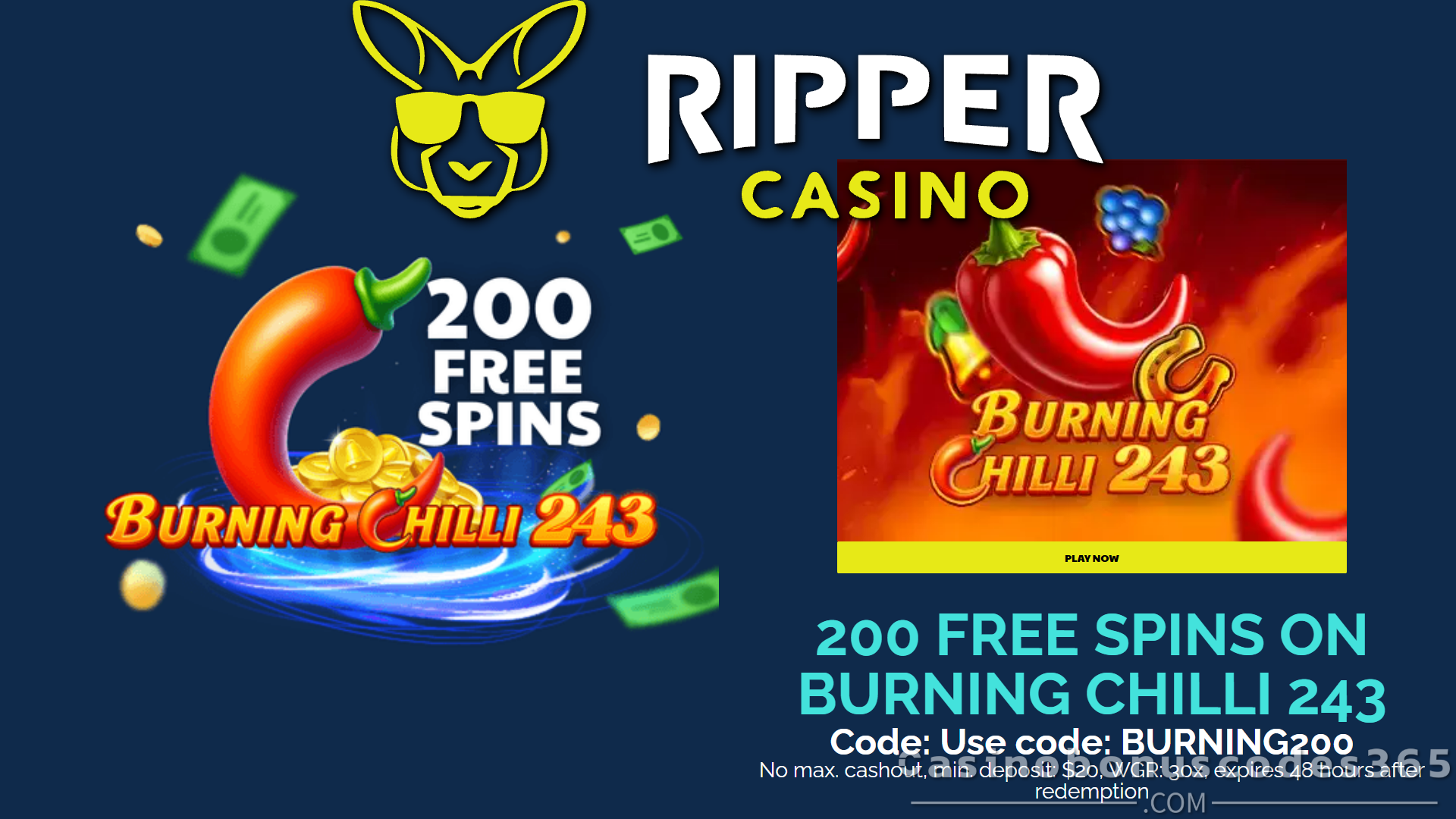 Ripper Casino Bonus Offer – 200 FREE Spins on Burning Chilli 243