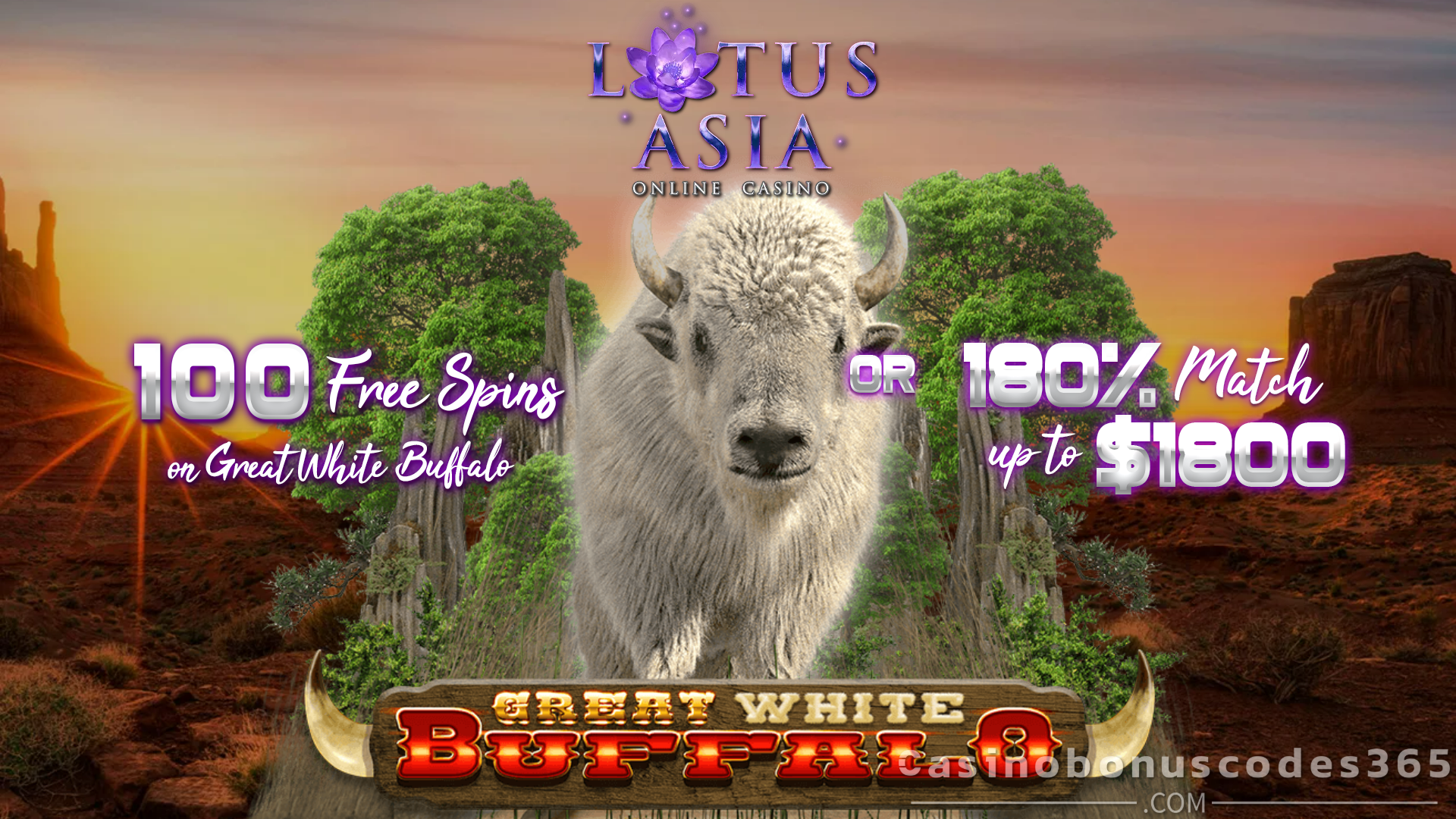 Lotus Asia Casino 100 FREE Spins on Great White Buffalo or 180% Match Bonus up to $1800